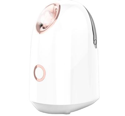 China 2021 New Product Professional Face Lift Mist Spray Nano Beauty Facial Humidifier Steamer for sale