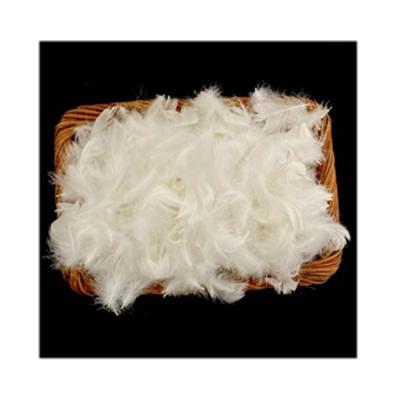 China High Quality RDS Jacket Washed White Goose Feather For Duck Feather Cushion And White Feather Down Fill Pillow for sale