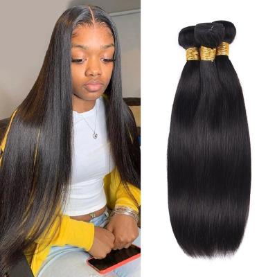 China High Quality Straight Virgin Indian Human Hair Mink Brazilian Remy Hair Bundles Raw Straight for sale