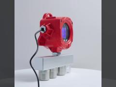 Professional Wall-mount Multi Gas Detectors for Industrial Applications