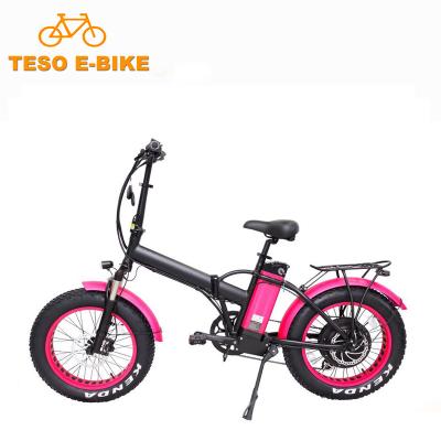 China Aluminum Alloy 48v W 1000 Delivery Bike 20inch Beach Electric Foldable Cargo E Bike for sale