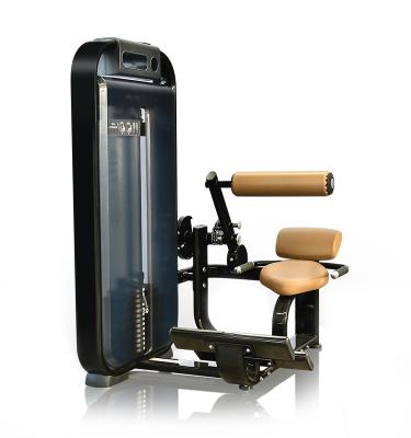 China Eco-friendly New High Selling Commercial Gym Equipment Extension Bodybuilding Machine Back for sale