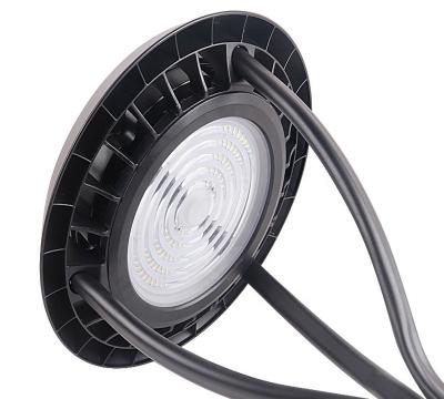 China Aluminum Garden 120W PC Cover Housing Garden Light Outdoor Led Garden Lights IP65 for sale