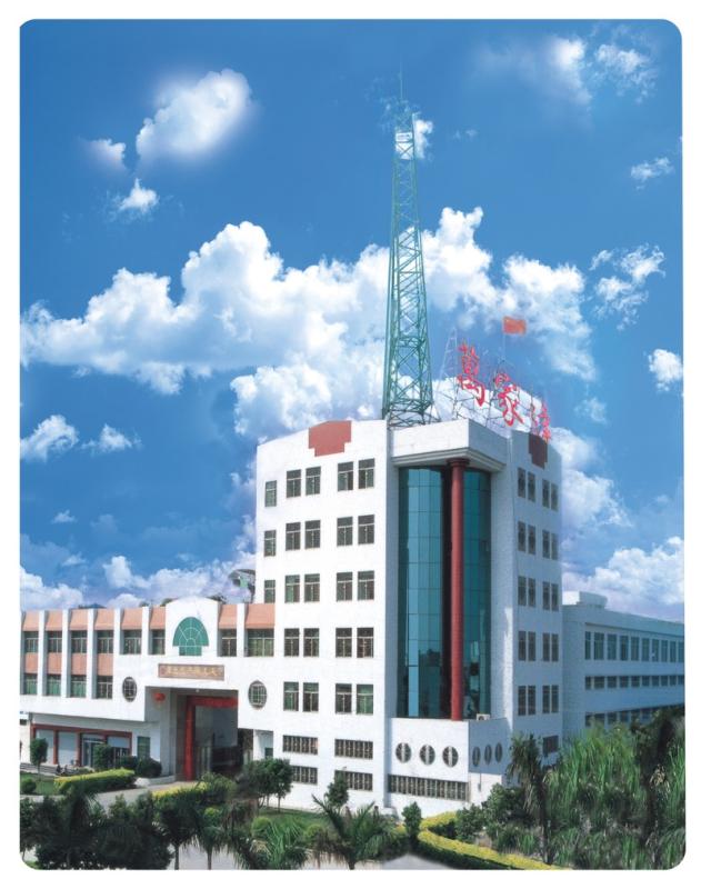 Verified China supplier - Guangdong Wanjiada Household Electrical Appliances Co., Ltd.