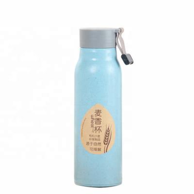 China High Quality Eco-friendly Double Wall Wheat Straws Glass Biodegradable Beverage Straws Water Bottle for sale