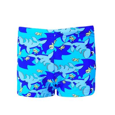 China High Quality Plus Size Cartoon Shark Swimsuit For Student Swimsuit Kids Boy Shorts For Natatorium Training Pants for sale