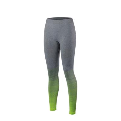 China QUICK DRY sports, fitness, running training, women's yoga pants, tight and quick drying pants, new style gradient color pants for sale