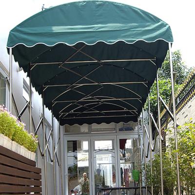 China Farm & best quality durable car promotional waterproof folding awning for sale for sale