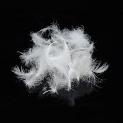 China goose down 2-4CM fantastic insulation washed white goose feathers for sale for sale