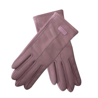 China Self-locking hot 2021 new listing 100% polyester women daily life self-locking hot knit gloves for sale