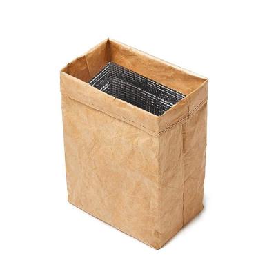 China Washable Handled Kraft Paper Cooler Bag Eco Friendly Brown With Heat Insulation Waterproof Washable Paper Lunch Bag for sale