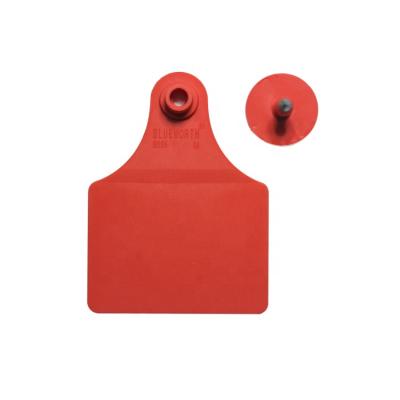 China Cultivate large size female ear tag in different colors, cattle ear tags for sale