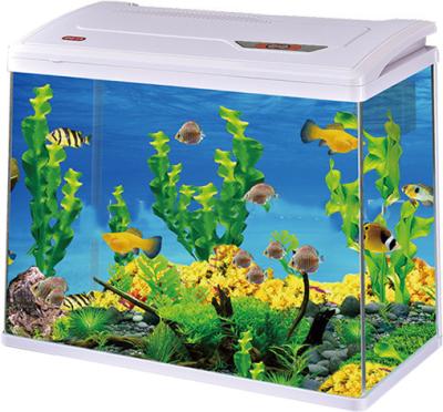 China Sustainable Wholesale Modern Home Office Bar Counter Decorated Custom Glass Betta Decoration Fancy Ornamental Aquarium Fish Tank for sale