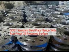 GOST Standard Steel Plate Flange With Rust-Proof Oil Protected Surface