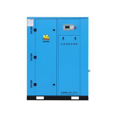 China 5 Hp Scroll Oilfree Air Compressor Model Scroll Variable Frequency Oilfree Compressor Medical Air Compressor for sale