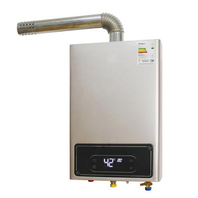 China China 12L Stainless Steel Constant Temperature Type Gas Hotel Water Heater for sale