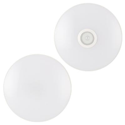 China Surface Mounted Dimming and App Music Playback 30W Round Three-proofing Remote Intelligent Smart Home Ceiling Lamp for sale