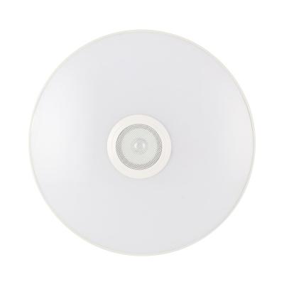 China Circular Minimalist LED Smart Home Dimmable Remote Three-proofing Motion Sensor 30W Outdoor Mounted Smart Ceiling Light for sale