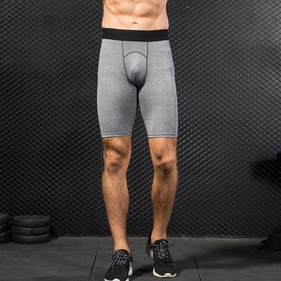 China Anti-wrinkle Mens Mesh Spliced ​​Stretch Shorts With Quick Dry for sale