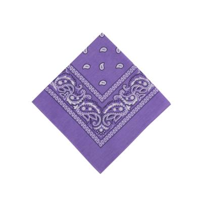 China Hip Hop Wholesale In Stock Bandana 23 Colors Available 100% Square Cotton Paisley Bandana for sale