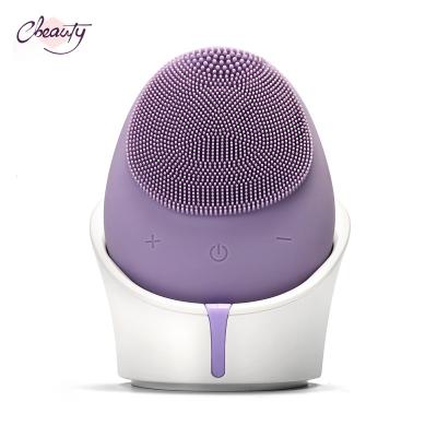 China For Home Use Silicone Rechargeable Face Radio Factory Price Cleaning Brush for sale