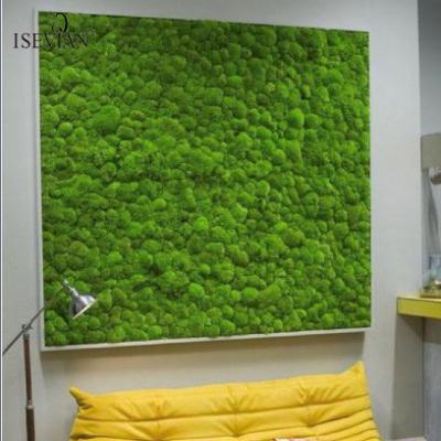 China Wedding ISEVIAN Moss Reindeer Moss Preserved Moss Panel Use To Home Decor for sale