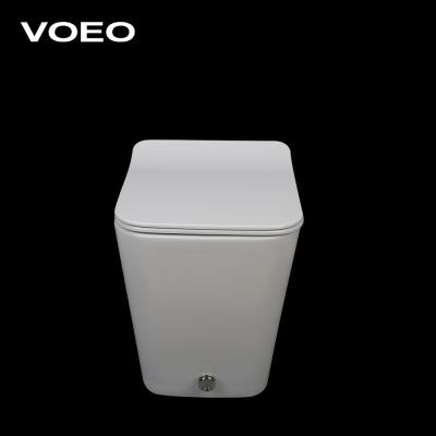 China Double-Flux Durable Ceramic Squat Toilet With Foot Kick Ceramic Water Closet for sale