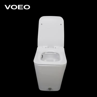 China Double-Flow Luxury Down Wash Floor-Standing Bathroom WC Toilet Water Closet for sale