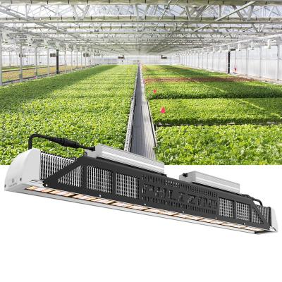 China Seed Starting 2021 Dimmable Commercial Adjustable High Efficient Hydroponic Greenhouse Samsung Lm301h 640W Grow Lights For Plant Lighting for sale