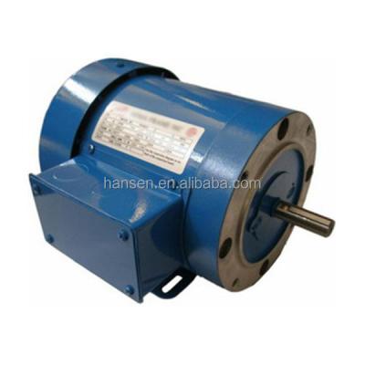 China High Quality Waterproof AC Electric Motor , NEMA48 NEMA56 SINGLE PHASE ODP TEFC THREE PHASE MOTOR for sale