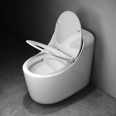 China Double-Flow One-Piece Toilet Floor Standing Ceramic Toilet for sale