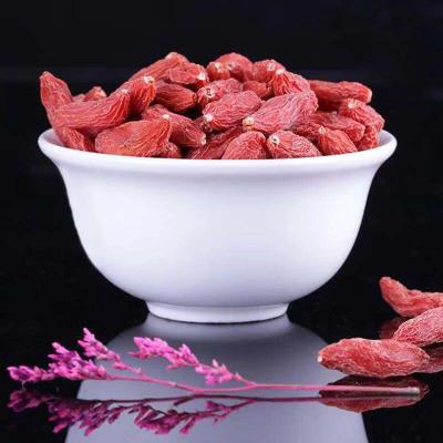 China Factory Price Dry Berry Organic Goji Berry Powder Goji Berry Plants for sale