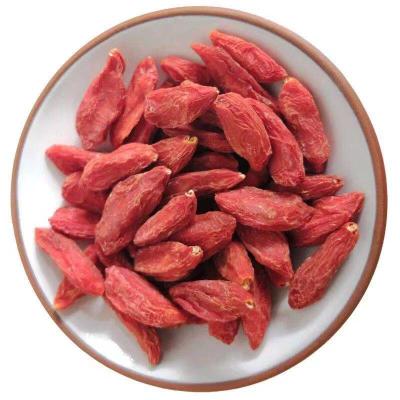 China Factory Price Dry Berry Market Price Goji Berry Organic Goji for sale