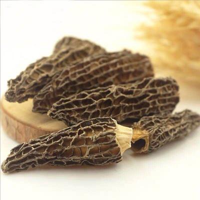 China Factory Price Dried Black Price Dried Nightshade Mushroom Price Nightshade Mushroom Morchella for sale