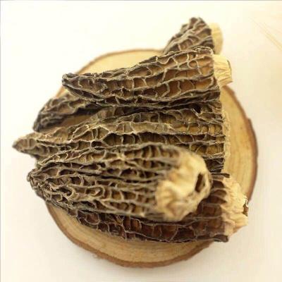 China Factory Price Dried Dried Nightshade Mushroom Price Dried Nightshade Mushroom Price for sale