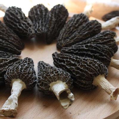 China Dry Nightshade Black Mushroom Wild Dried Nightshade Factory Price Factory Price for sale