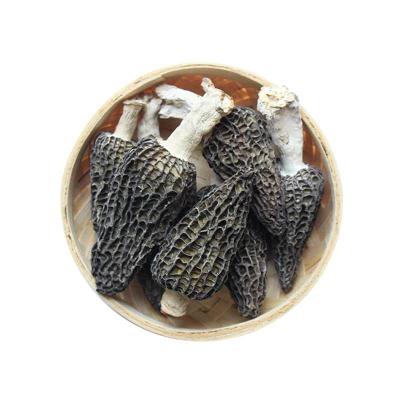 China Factory Price Dry Dry Himalayan Nightshade Mushroom Mushroom for sale