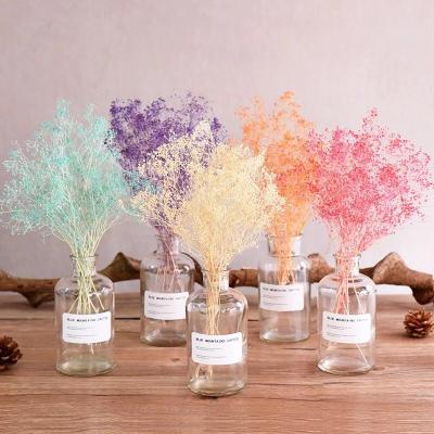 China Beautiful Factory Price Colorful Dried Decoration Dried Violet Flowers Dried Jasmine Flowers for sale