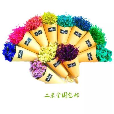 China Factory price beautiful colorful volume dried flowers wholesale dry cotton ried flowers for sale