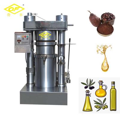 China Eco - Friendly Hydraulic Walnut Cocoa Butter Sesame Oil Press Machine for sale