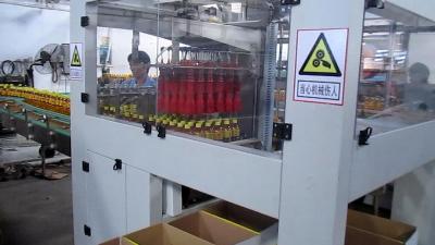 China High Efficiency Bottled Water Packaging Machine With Bottle Palletizer for sale