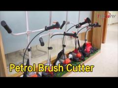 2 In 1 Petrol Brush Cutter 43cc Displacement Air Cooled Single Cylinder