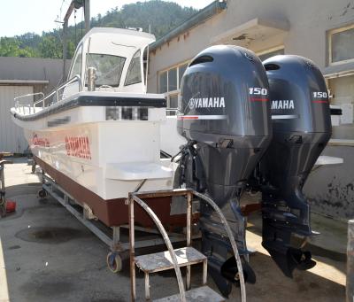 China Fiberglass 28 ft Center Console Double Hull Fiberglass Fishing Boat for sale