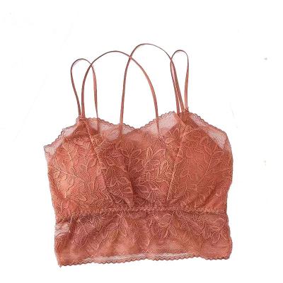 China 2022 Beautiful Chest Wire Free Women's Lace Back Wrapped French Bra Plus Size Seamless Cross for sale