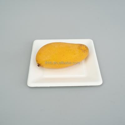 China Compostable Biodegradable Within 90 Days Disposable Eco-Friendly Oval Sugarcane Dish 6 8 10 Inch for sale