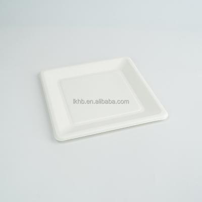 China Compostable Biodegradable In 90 Day 6 8 9 10 Inch Oval Sugar Cane Pulp Dish for sale