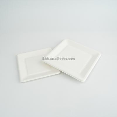 China Biodegradable Compostable Within 90 Days 8 10 Inch Disposable Sugarcane Square Plate 6 for sale