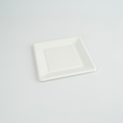 China Compostable Biodegradable Within 90 Day Rectangular Sugar Cane Disposable Dishes Eco - Friendly for sale