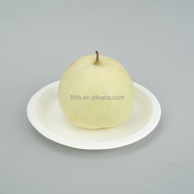 China Compostable Biodegradable Less Sugarcane Eco-Friendly Disposable 90 Daily Specials 100% Biodegradable Disposable Newspaper Delivery Tour Dish for sale