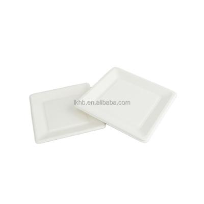 China Compostable Biodegradable Within 90 Days Microwave Safe Disposable Sugar Cane Bagasse Tableware Square Rectangle Dish Biodegradable Store for sale